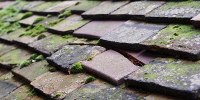 Chapelton roof repair costs